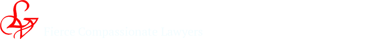 the law office of lisa a vance pc | fierce compassionate lawyers