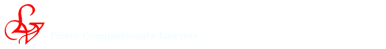 the law office of lisa a. vance, p.c. fierce compassionate lawyers